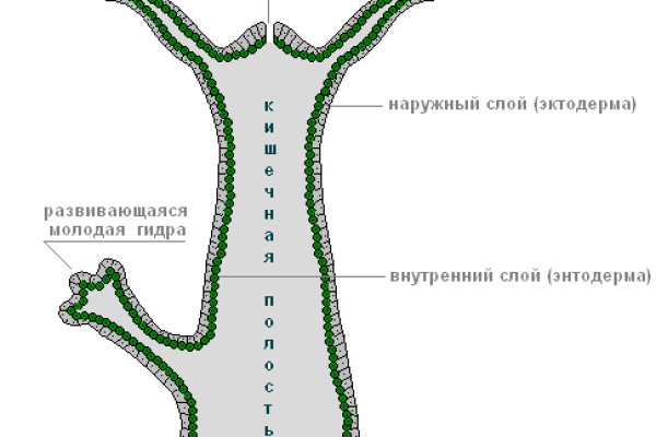 Как найти ссылку на кракен