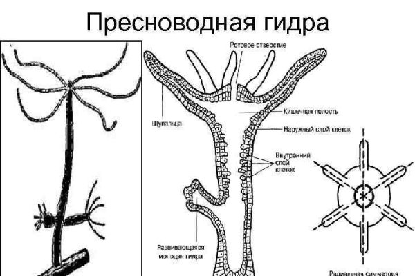 Кракен драг