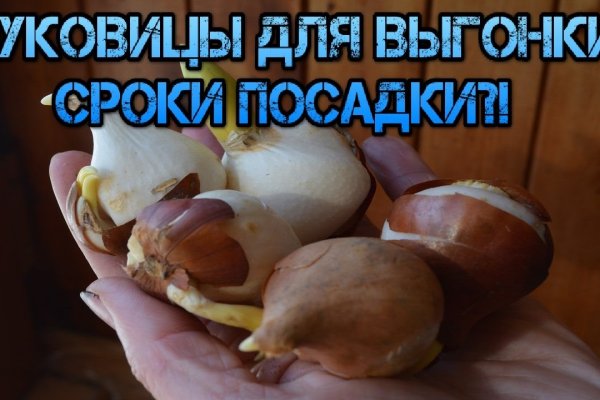 Что такое кракен маркет торкнет