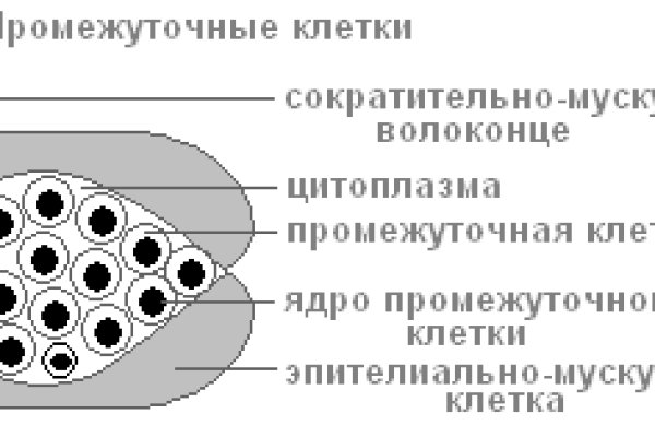 Кракен вход магазин